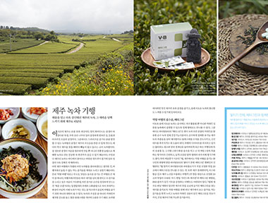 제주 녹차 기행, 먹방 여행의 필수품 '메타그린' 상세보기