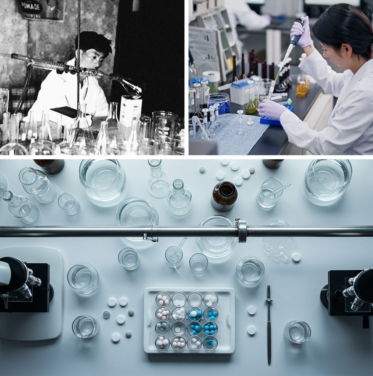 1983년부터 현재까지 바이탈뷰티의 연구 역사