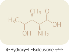 4-Hydroxy-L-Isoleuscine 구조