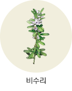 비수리