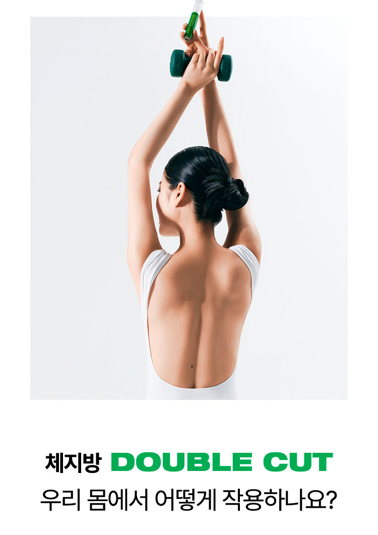 체지방 Double Cut 우리 몸에서 어떻게 작용하나요?