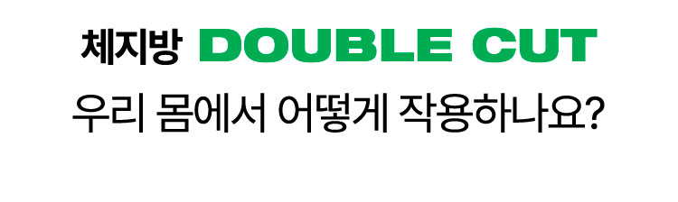 체지방 Double Cut 우리 몸에서 어떻게 작용하나요?