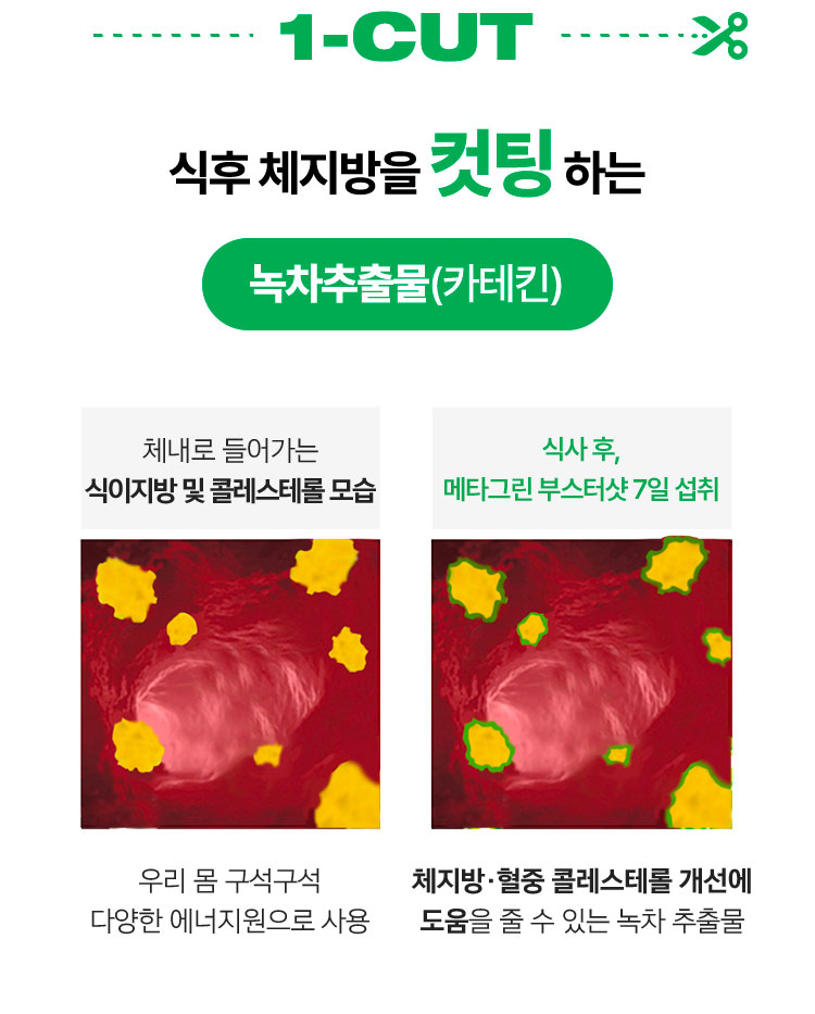 1-CUT 식후 체지방을 컷팅 하는 녹차추출물(카테킨)