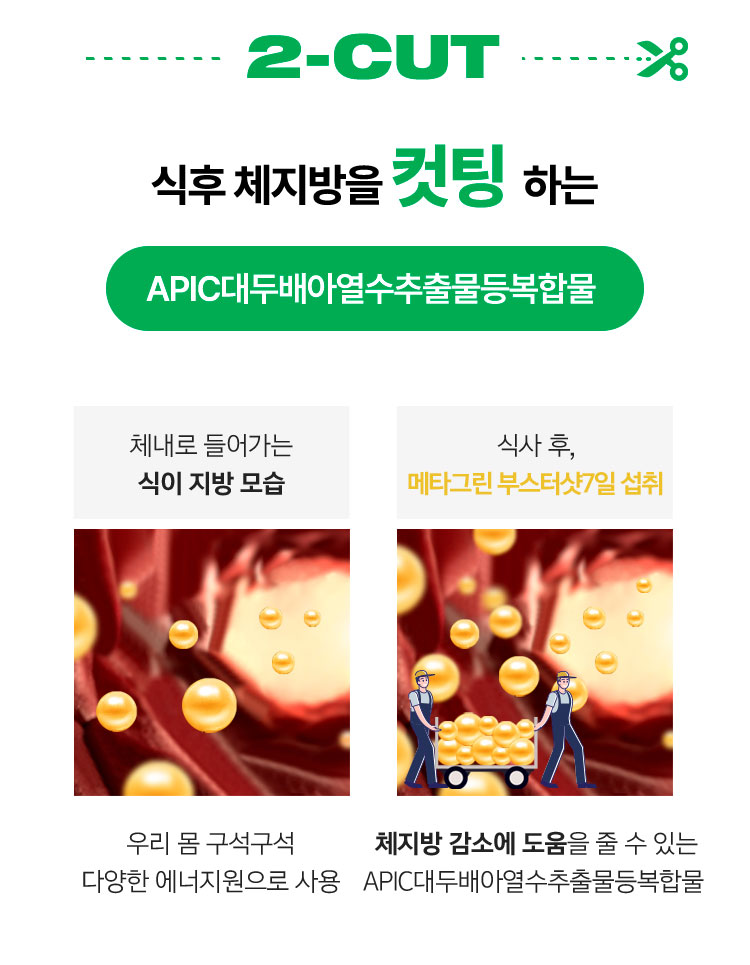 2-CUT 식후 체지방을 컷팅 하는 APIC대두배아열수추출물등복합물