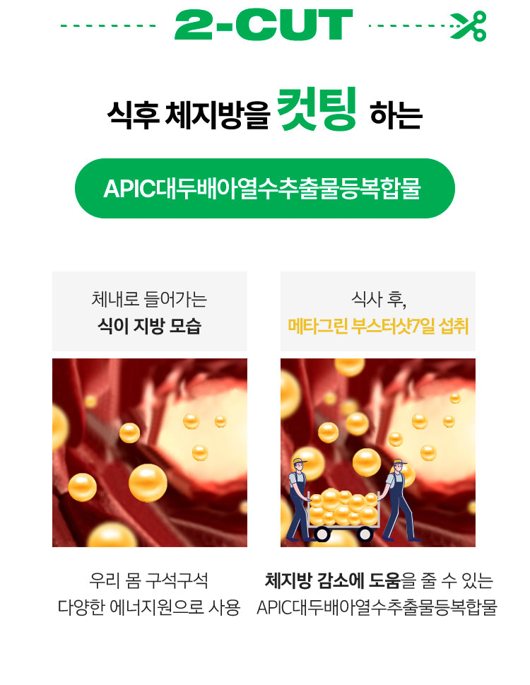 2-CUT 식후 체지방을 컷팅 하는 APIC대두배아열수추출물등복합물