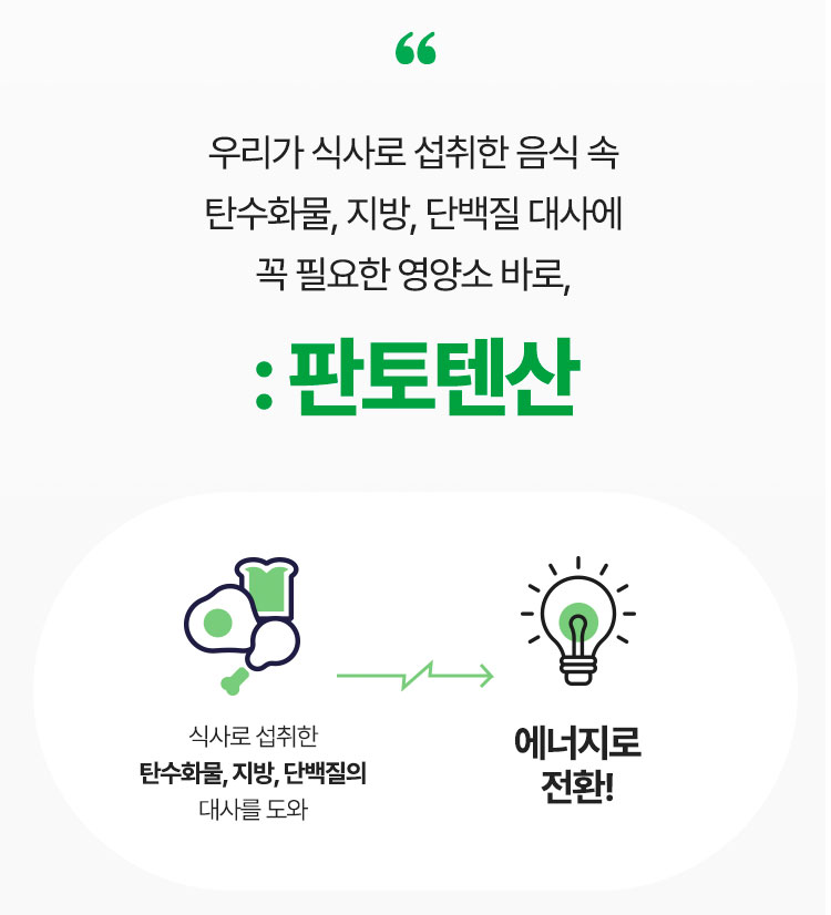 우리가 식사로 섭취한 음식 속 탄수화물, 지방, 단백질 대사에 꼭 필요한 영양소 바로, : 판토텐산