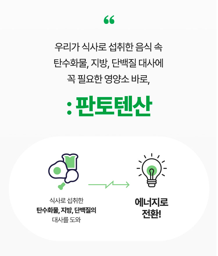 우리가 식사로 섭취한 음식 속 탄수화물, 지방, 단백질 대사에 꼭 필요한 영양소 바로, : 판토텐산