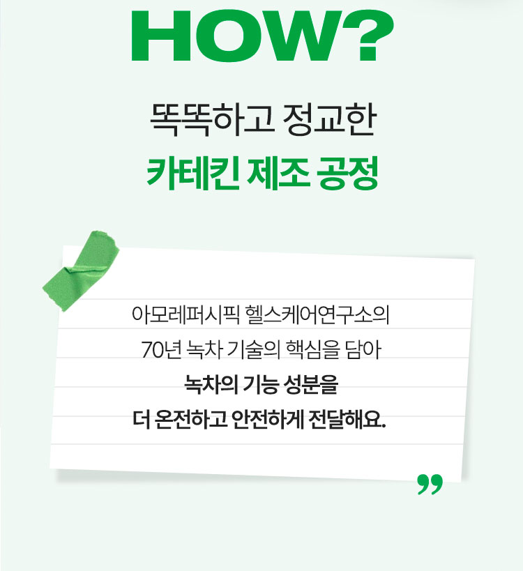 how? 똑똑하고 정교한 카테킨 제조 공정