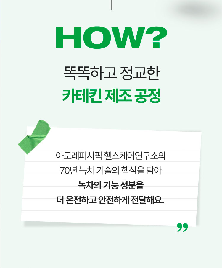 how? 똑똑하고 정교한 카테킨 제조 공정