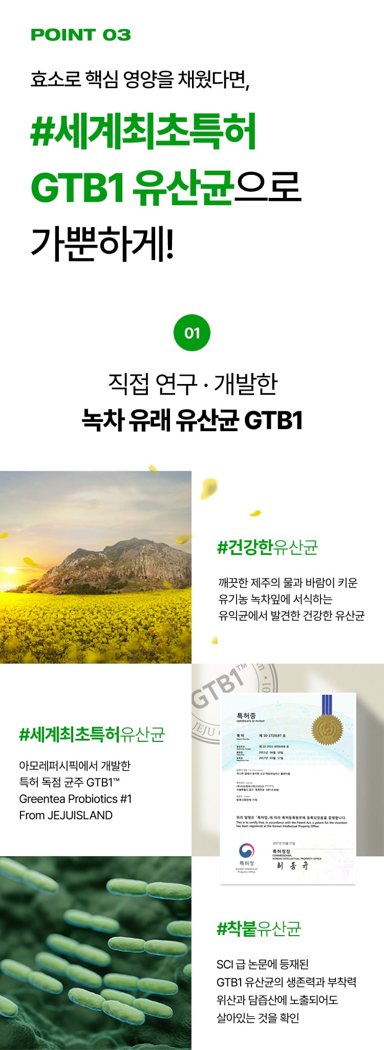 메타그린 효소
