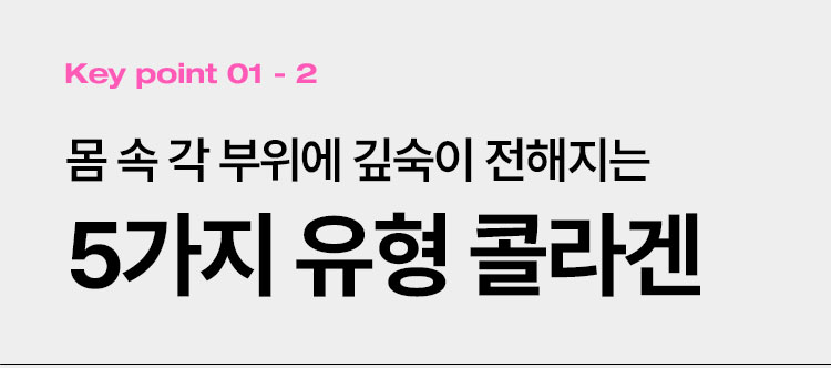 Key point 01 - 2 몸 속 각 부위에 깊숙이 전해지는 5가지 유형 콜라겐