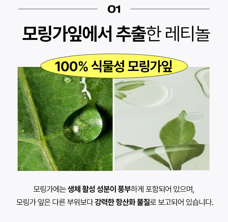 01 모링가잎에서 추출한 레티놀 100% 식물성 모링가잎모링가에는 생체 활성 성분이 풍부하게 포함되어 있으며,  모링가 잎은 다른 부위보다 강력한 항산화 물질로 보고되어 있습니다.