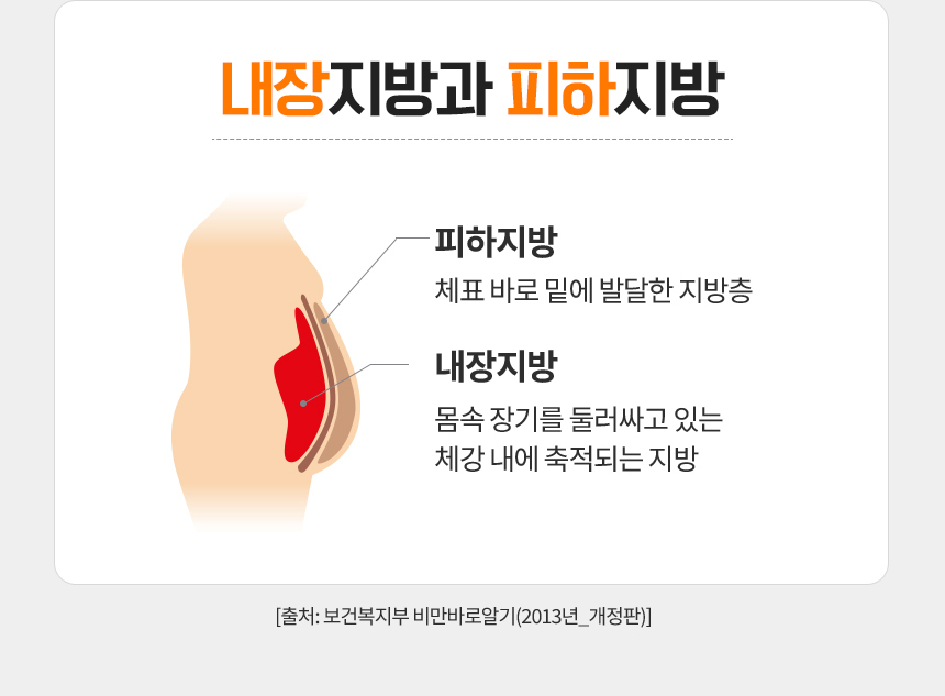 내장지방과 피하지방 / 피하지방 : 체표 바로 밑에 발달한 지방층 / 내장지방 : 몸속 장기를 둘러싸고 있는 체강 내에 축적되는 지방 / [출처: 보건복지부 비만바로알기(2013년_개정판)]