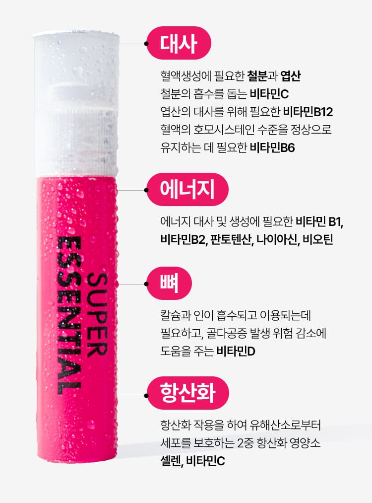 슈퍼 에센셜의 4가지 영양 설계